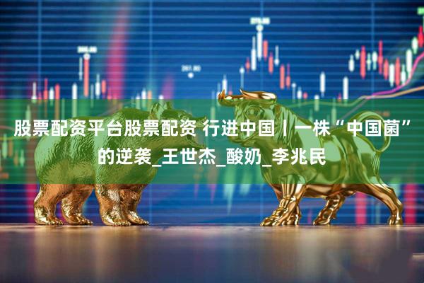 股票配资平台股票配资 行进中国丨一株“中国菌”的逆袭_王世杰_酸奶_李兆民
