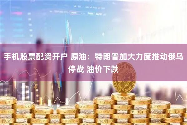 手机股票配资开户 原油:特朗普加大力度推动俄乌停战 油价下跌